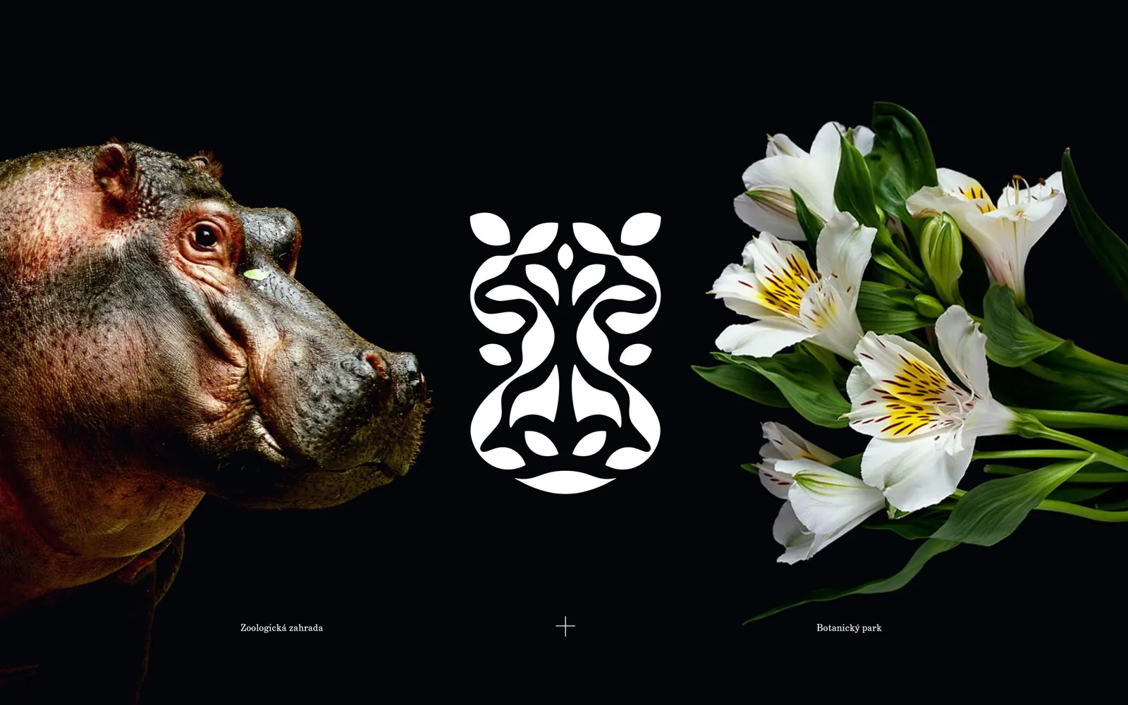 Zoo Ostrava by Frank Atelier