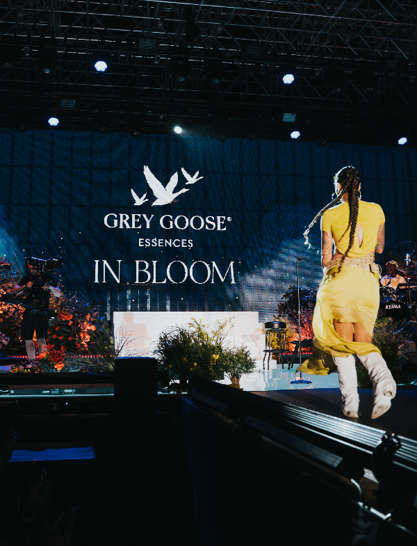 Grey Goose by Intertype