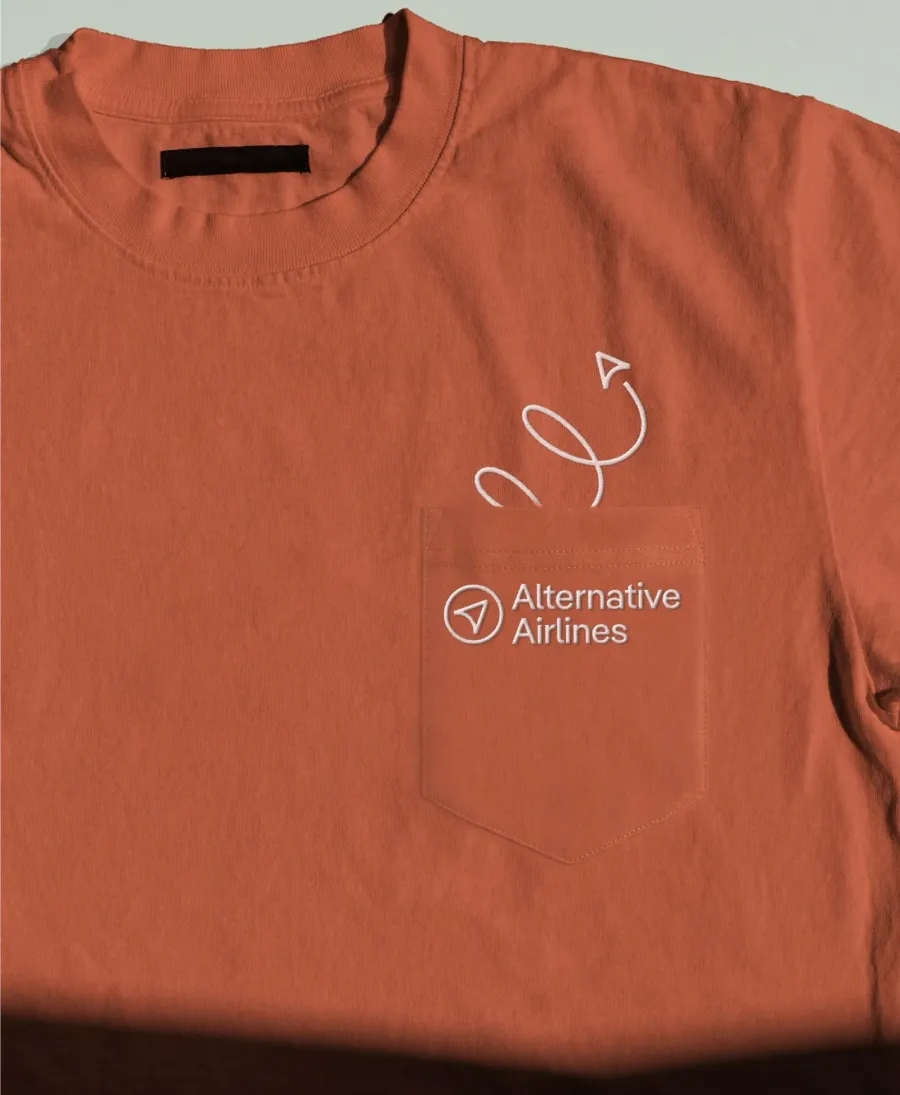 Alternative Airlines, image 4