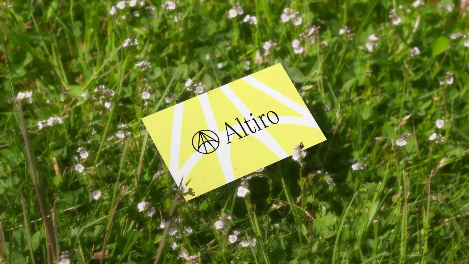 Altiro, image 5