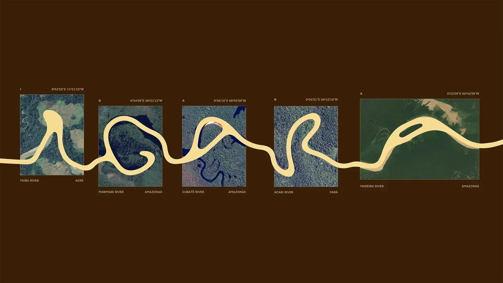 Amazonia, image 2
