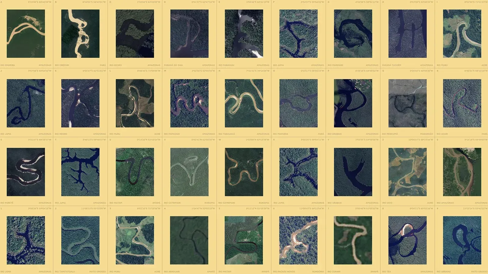 Amazonia, image 3