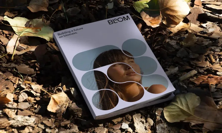 Bloom, image 3