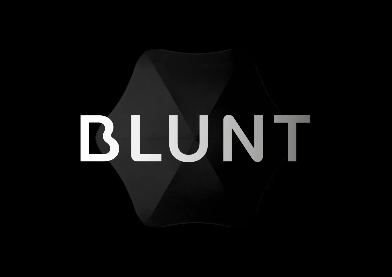 Blunt, image 1