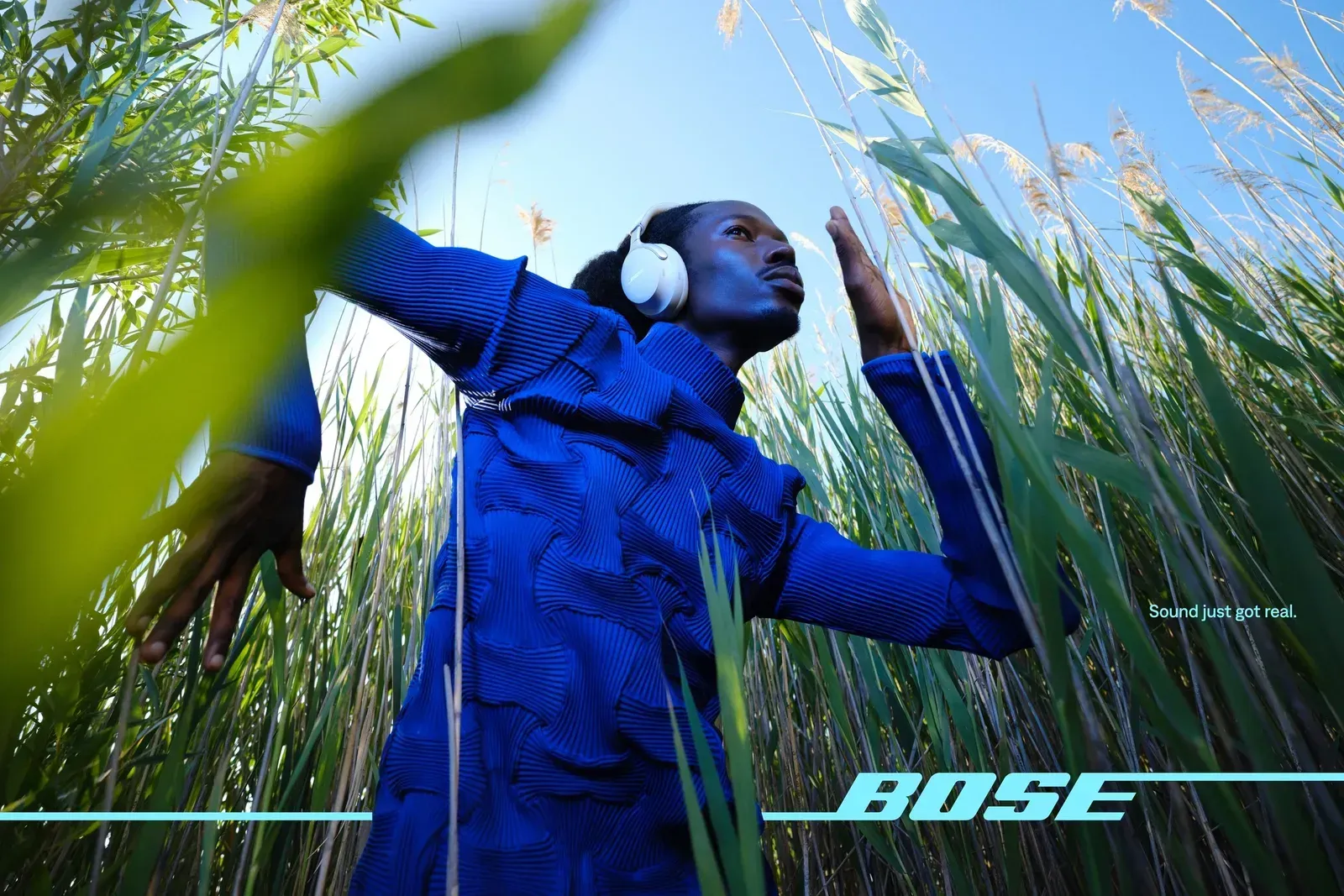 Bose, image 3