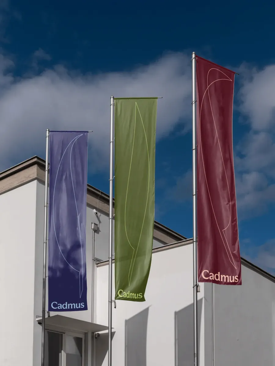 Cadmus, image 3