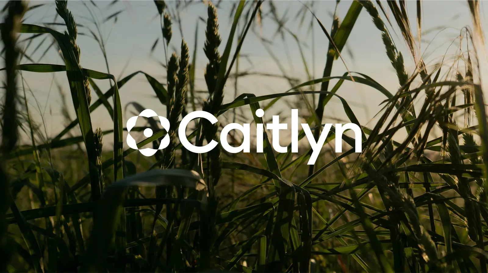 Caitlyn, image 1