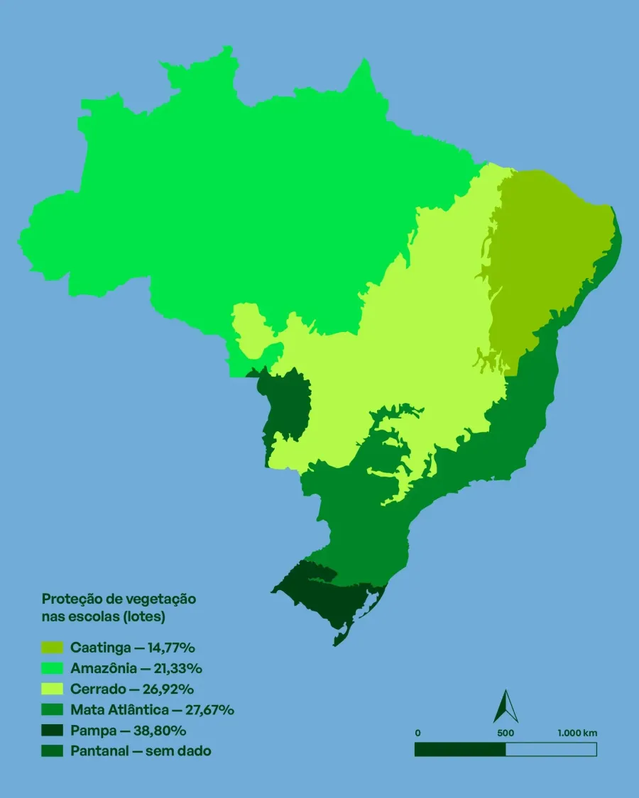 Escola + Natureza, gallery 11 1