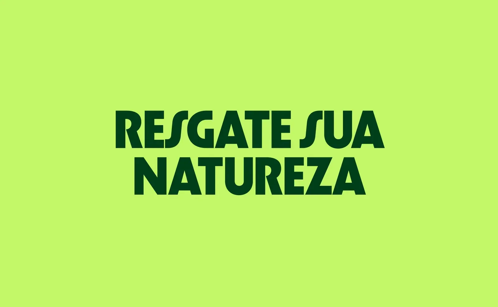 Escola + Natureza, gallery 13 1