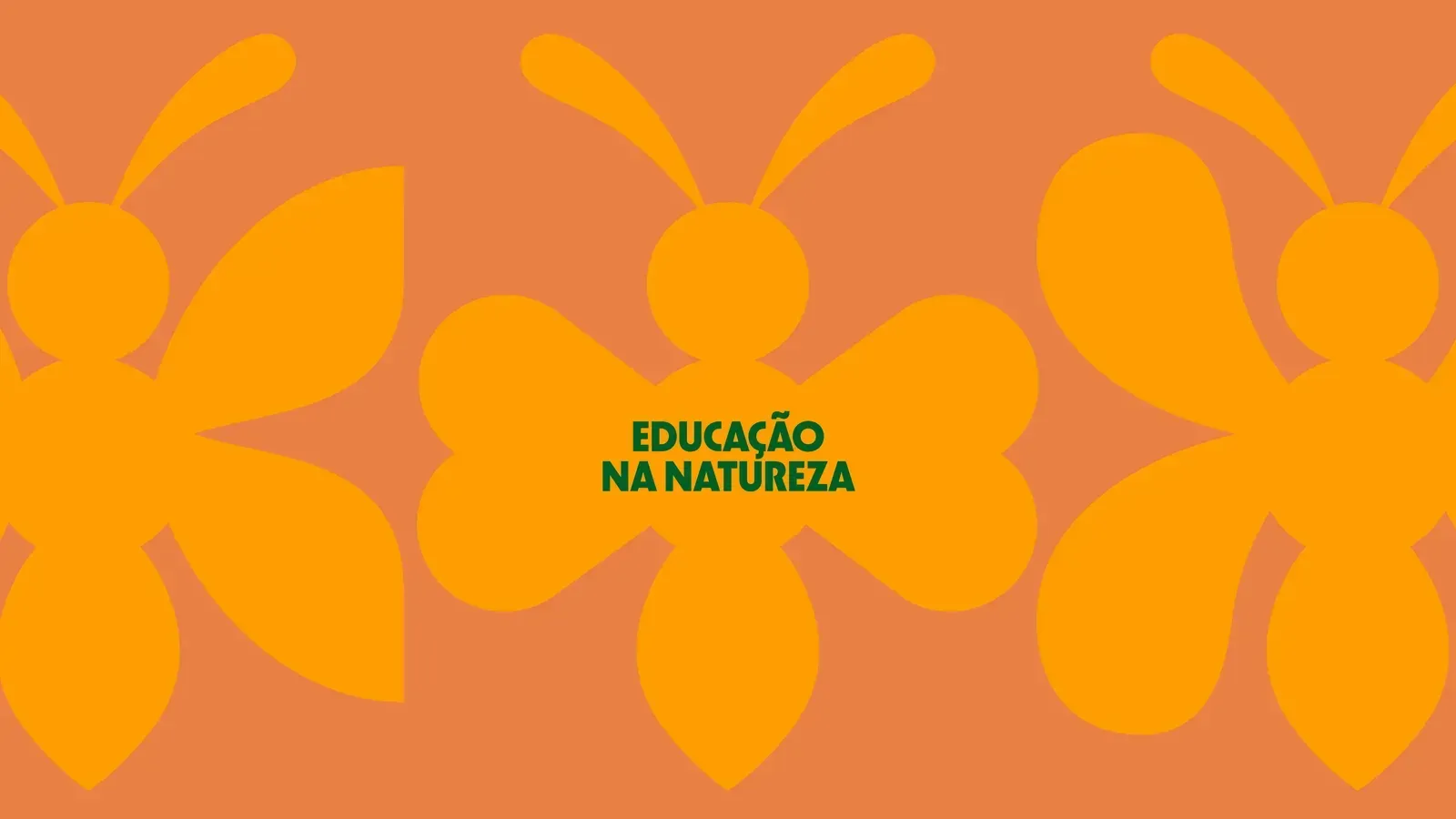 Escola + Natureza, gallery 17