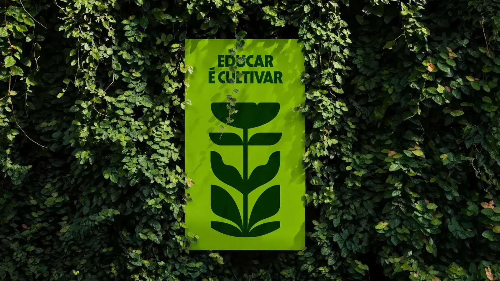 Escola + Natureza, gallery 4