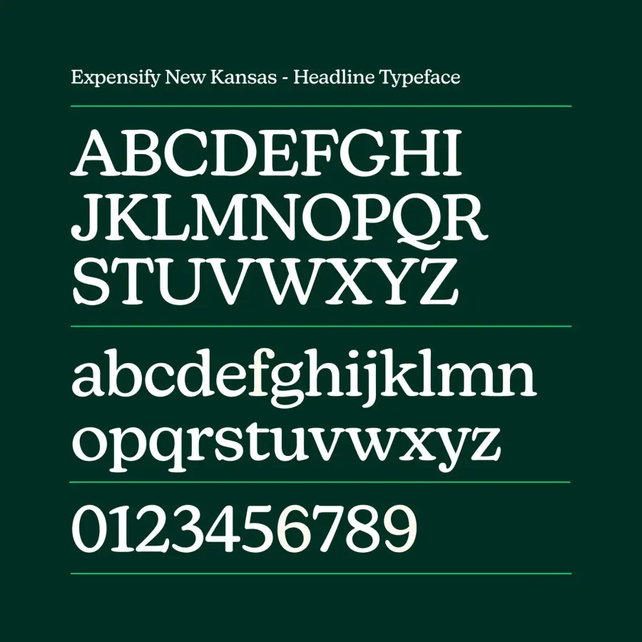 Expensify, gallery 2 2