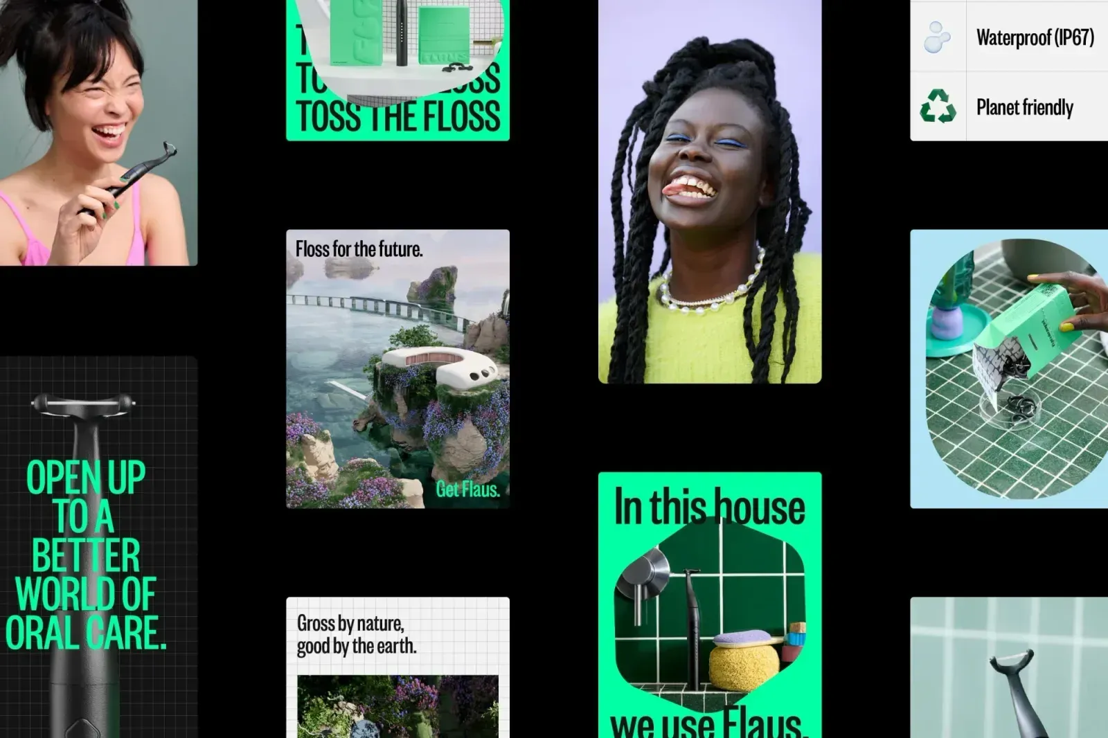 Flaus, image 2