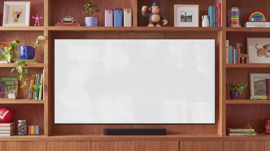 TV in wooden shelving unit