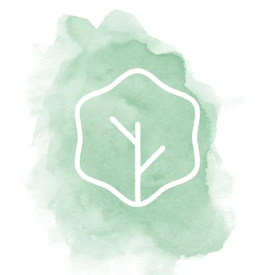 Liv Salad, image 4
