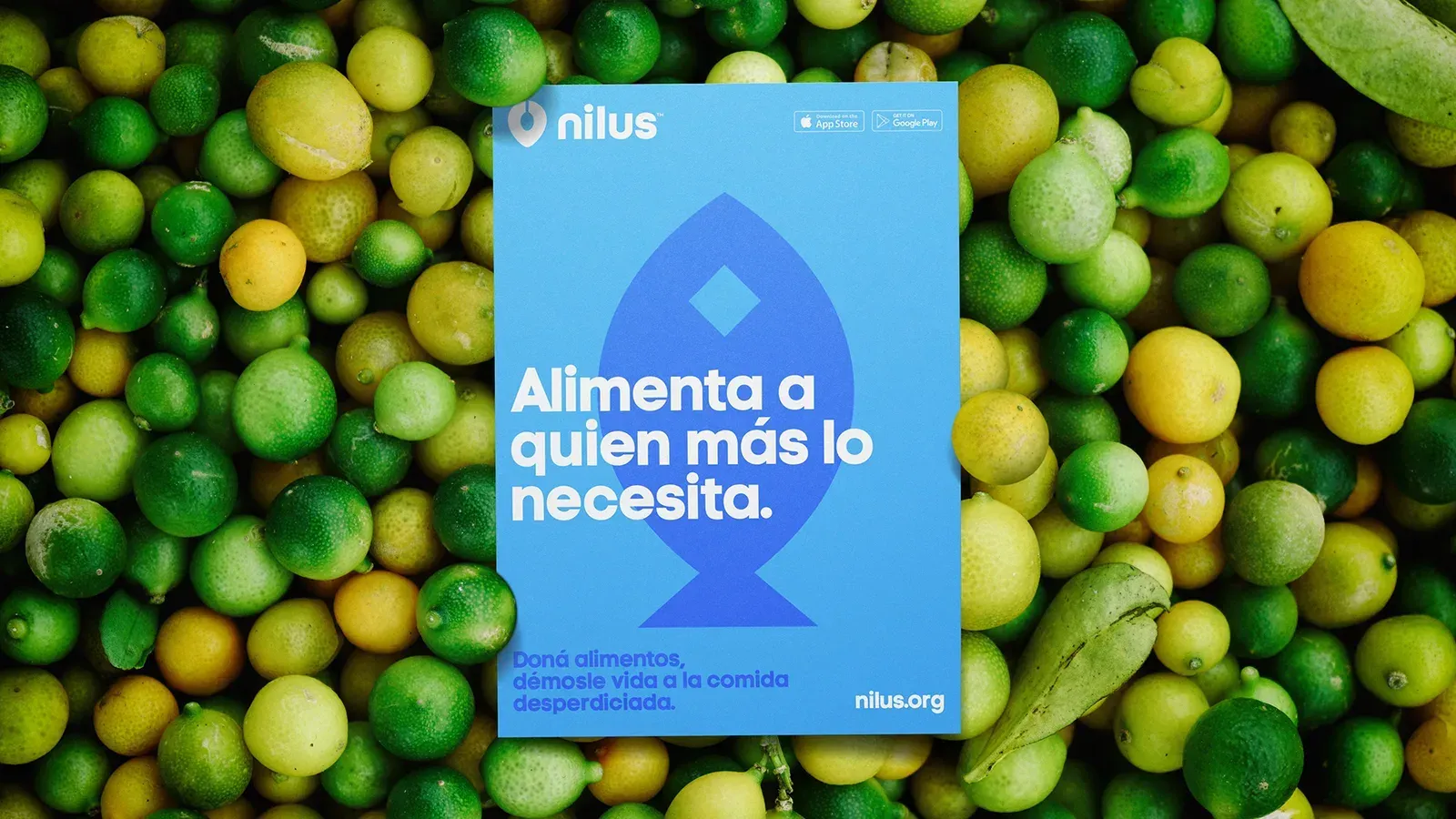 Nilus, gallery 13