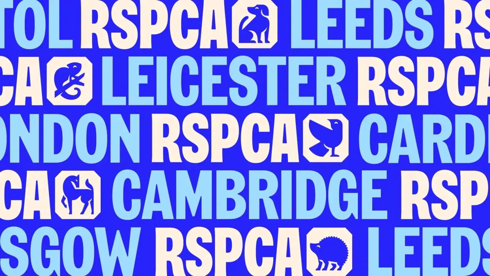 RSPCA, image 1
