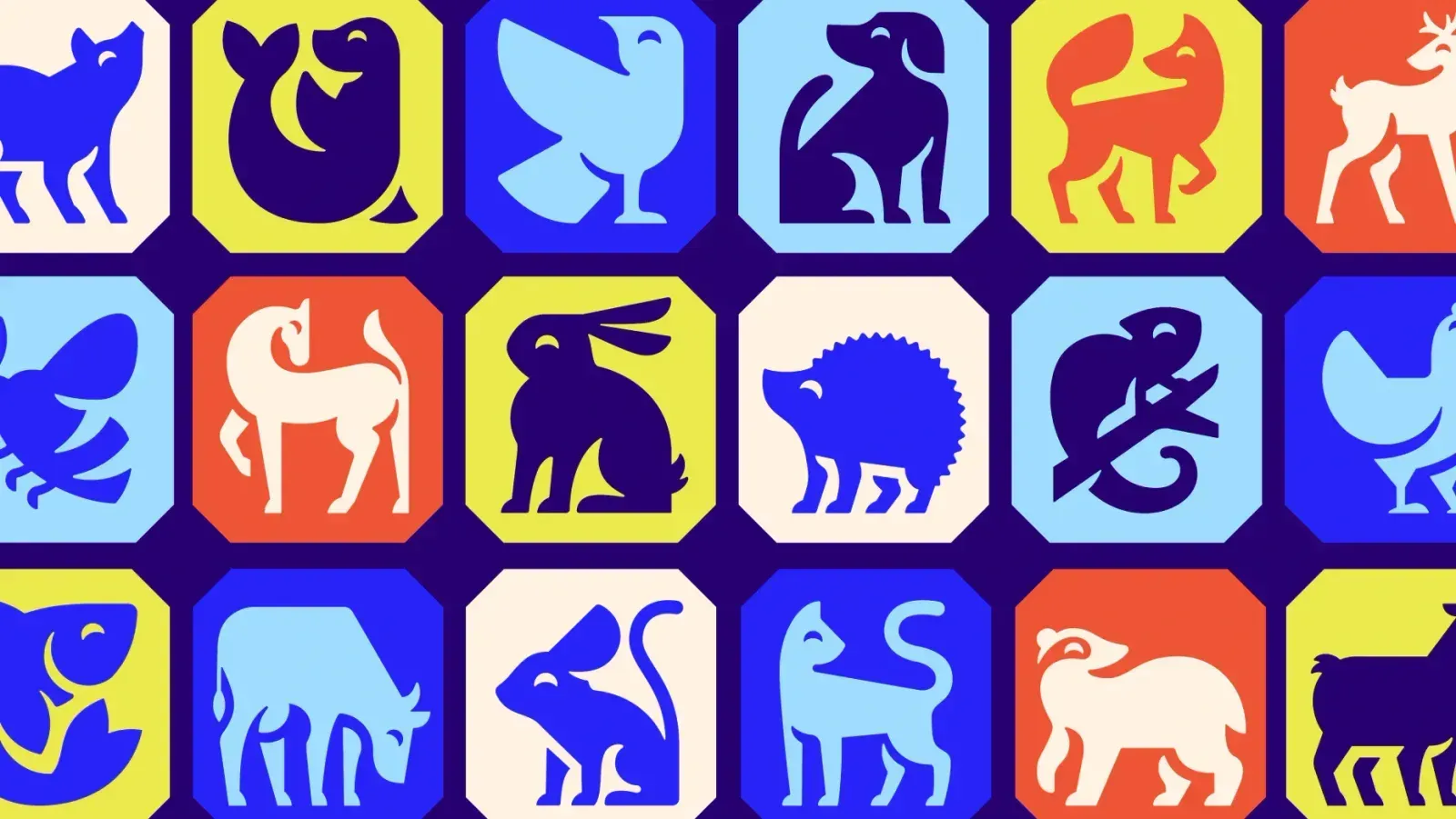 RSPCA, image 3