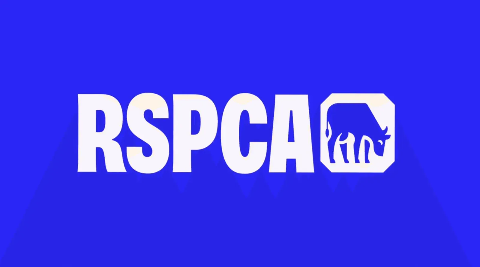 RSPCA, image 7