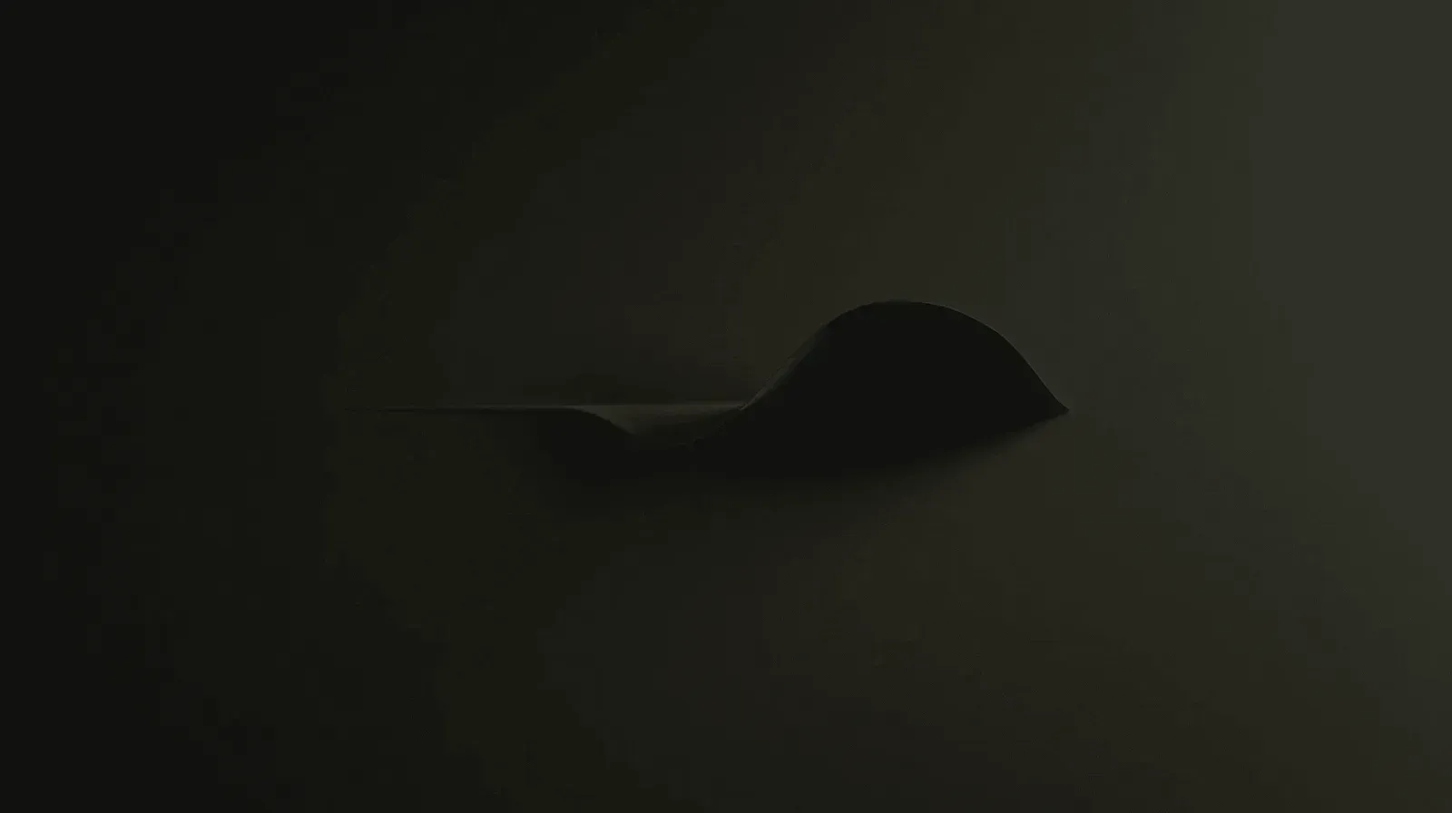 Stingray, image 7