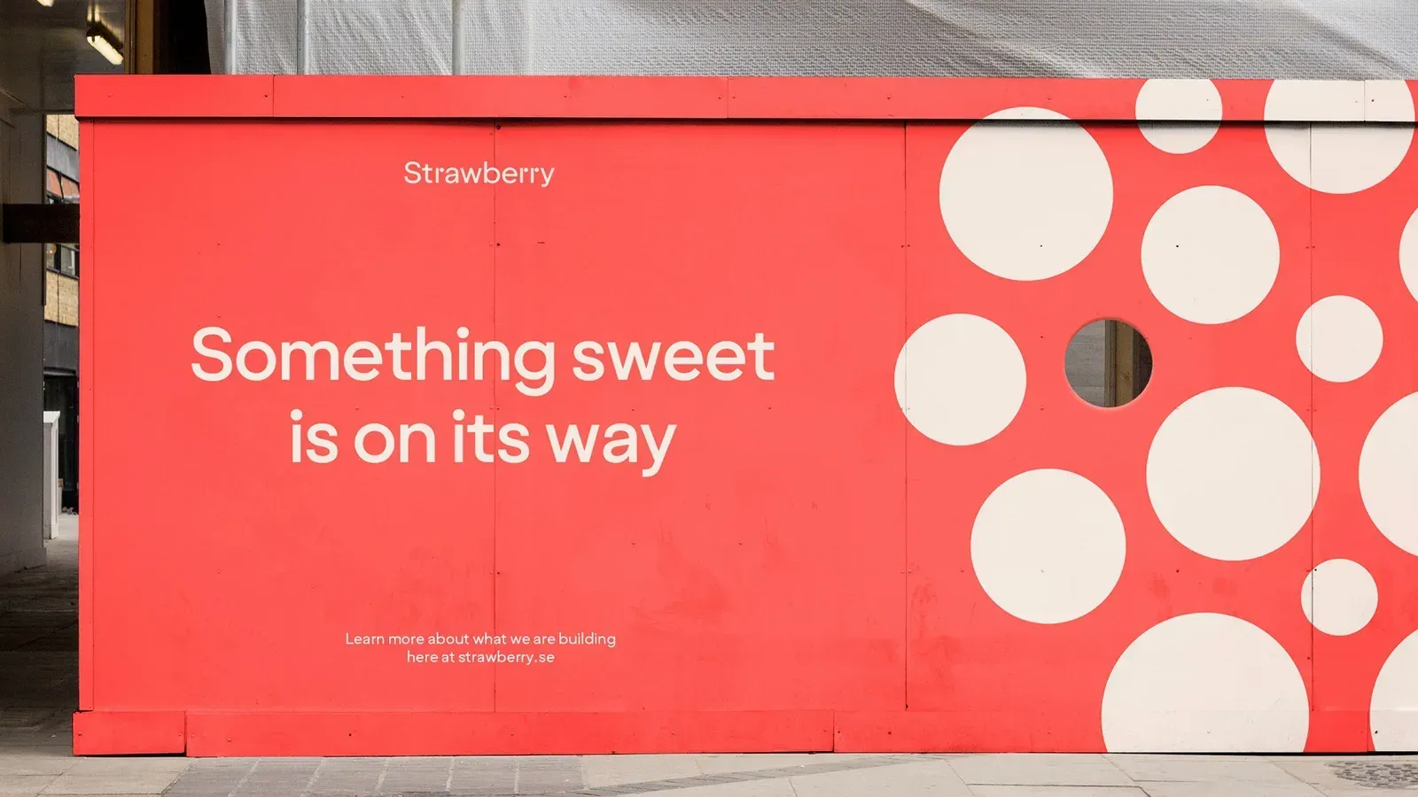 Strawberry, image 2