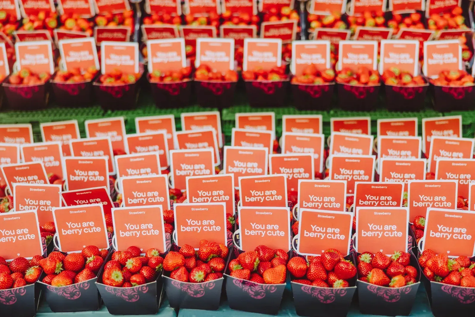 Strawberry, image 4