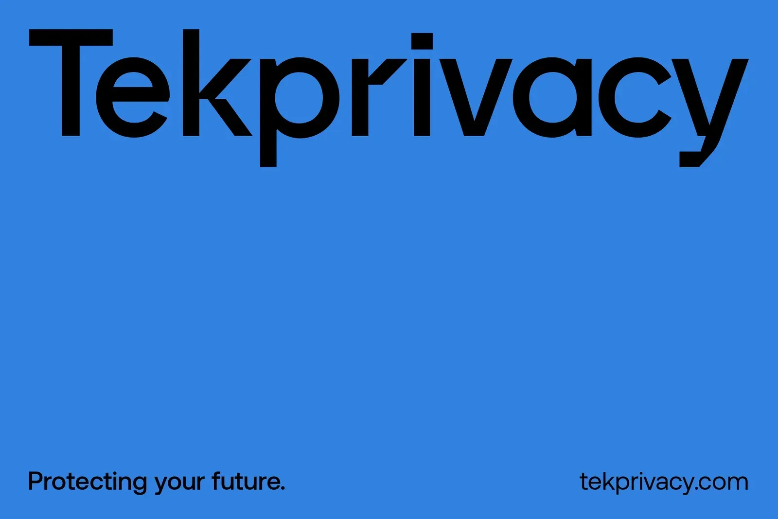 Tekprivacy, gallery 5