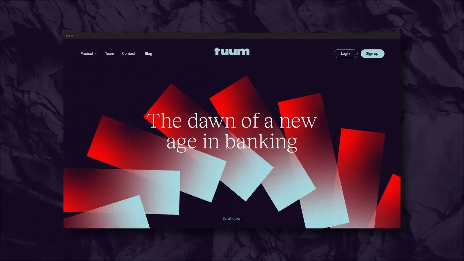 Tuum, image 5