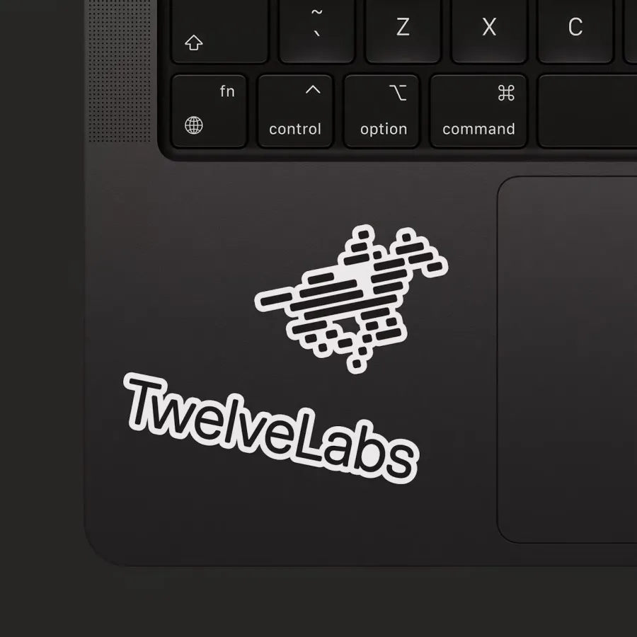 TwelveLabs, image 6