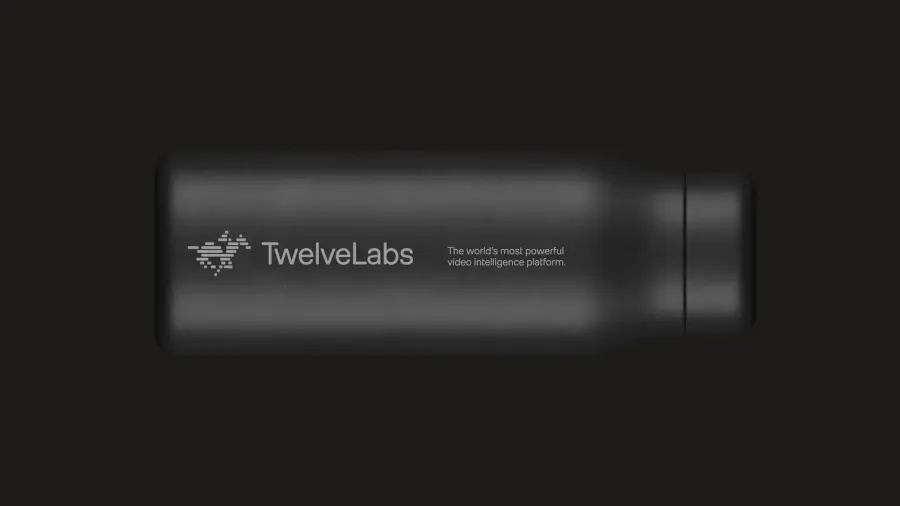 TwelveLabs, image 9