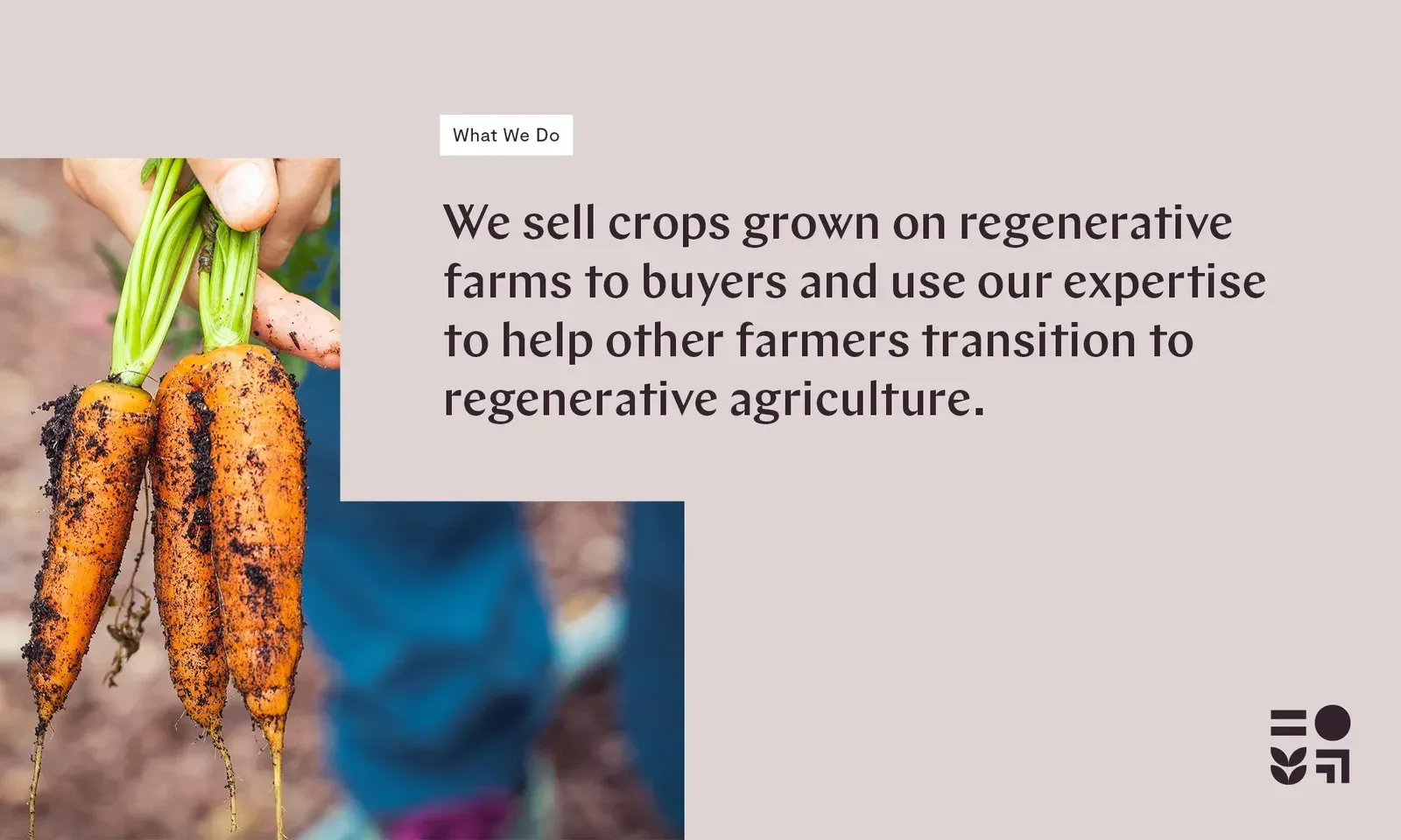 Vayda, image 5