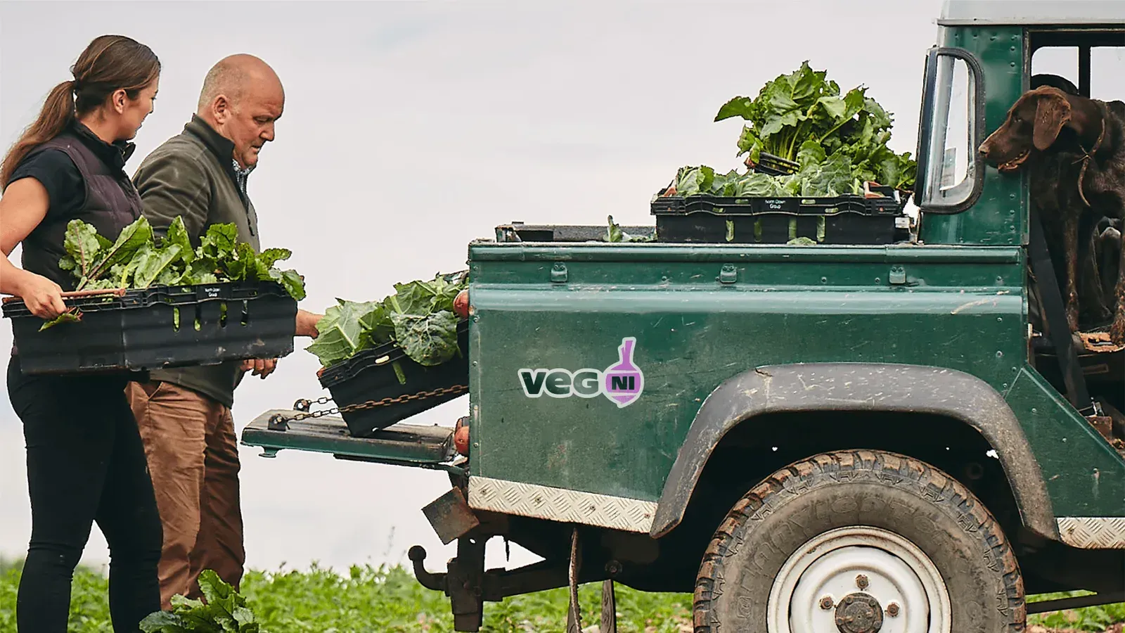 Veg NI, image 3
