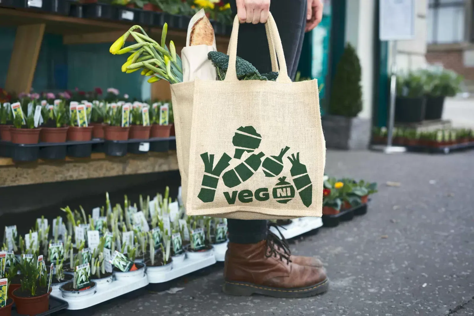 Veg NI, image 6
