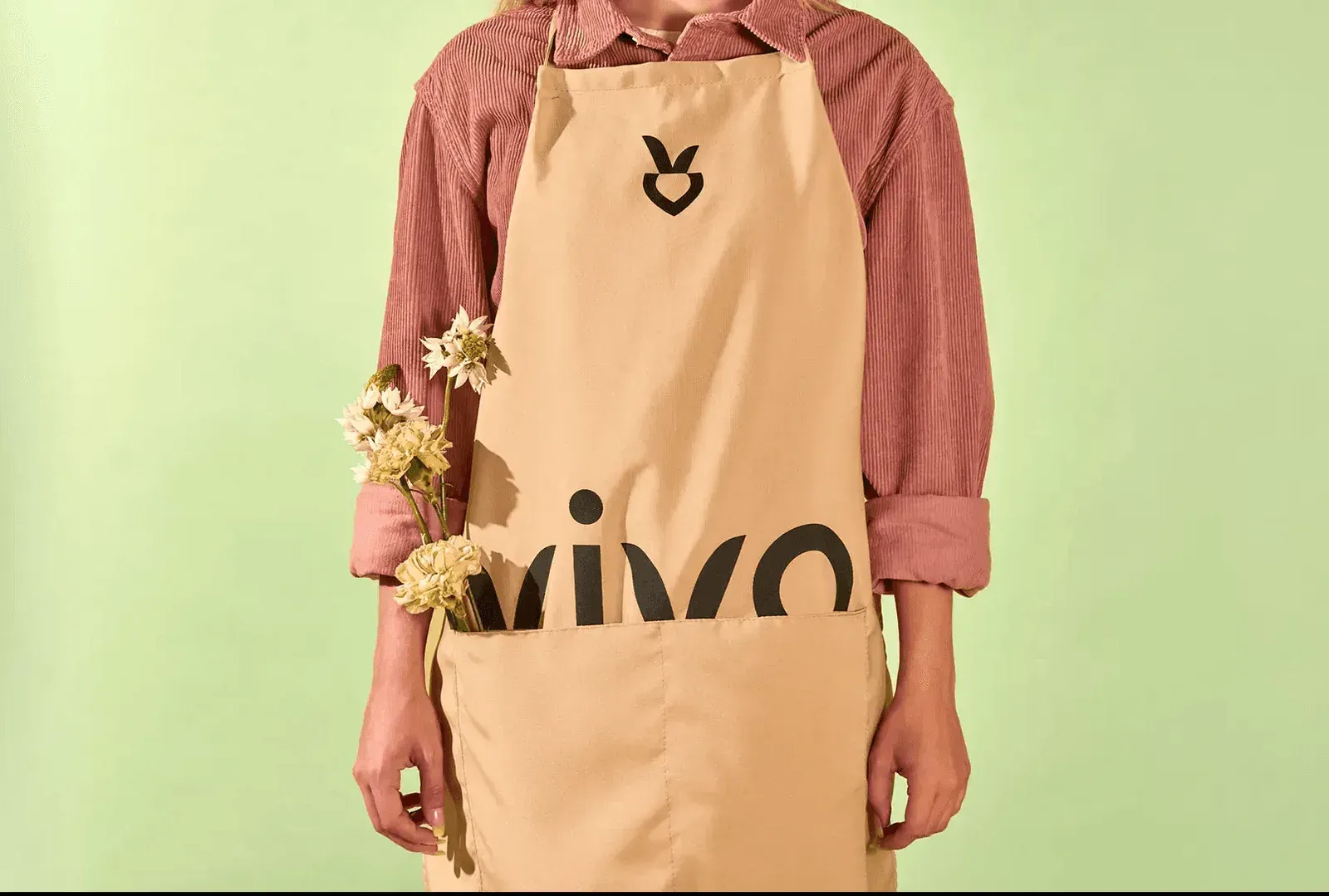 Vivo, image 2